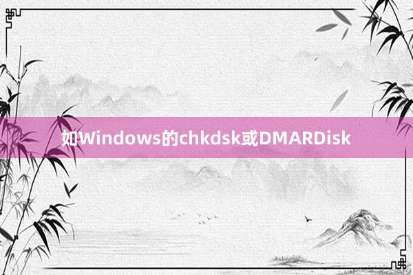 如Windows的chkdsk或DMARDisk